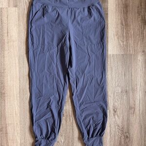 Halara Light Blue Jogger Pants